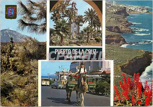 Cartes postales moderne Tenerife Puerto de la Cruz