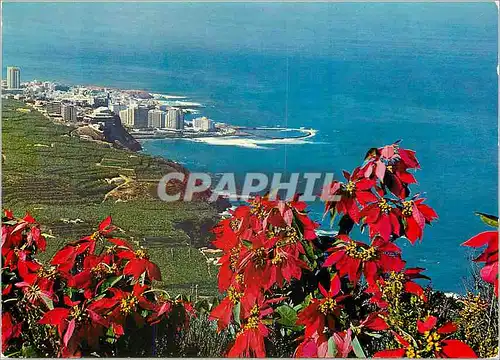 Cartes postales moderne Tenerife Cote du Nord et Puerto de la Cruz