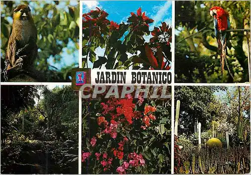 Cartes postales moderne Tenerife La Orotava Jardin Botanique Singe Perroquet