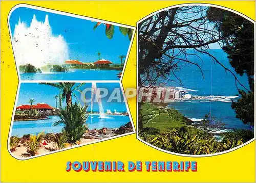 Cartes postales moderne Tenerife Puerto de la Cruz