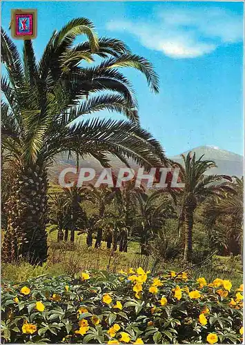 Moderne Karte Tenerife (Canarias) Detail de la Cote Nord