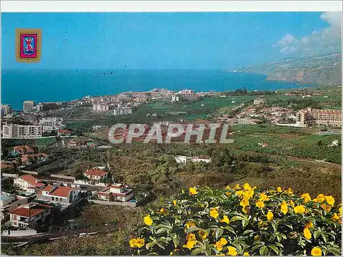 Cartes postales moderne Tenerife Puerto de la Cruz Vue generale