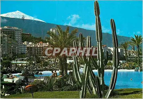 Cartes postales moderne Tenerife Puerto de la Cruz Vista con Teide