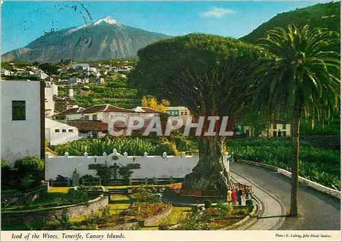 Cartes postales moderne Tenerife Divers aspects