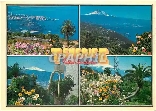 Cartes postales moderne Tenerife Isla Canarias