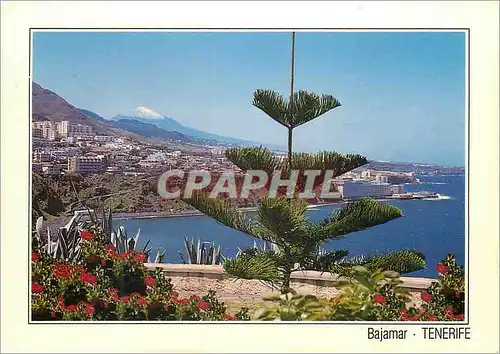 Cartes postales moderne Tenerife Bajamar