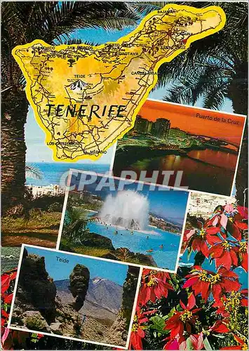 Cartes postales moderne Tenerife