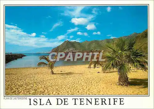 Cartes postales moderne Tenerife Isla de Tenerife