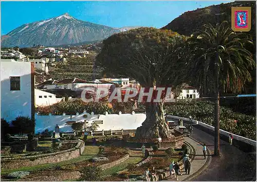 Cartes postales moderne Tenerife Icod de Los Vinos