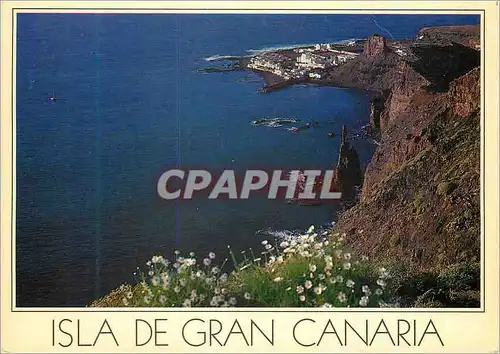 Cartes postales moderne Islas Canaria Tenerife