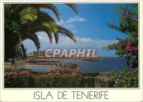 Cartes postales moderne Tenerife Isla de Tenerife