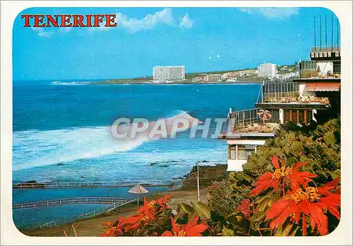 Cartes postales moderne Tenerife Bajamar Punta Hidalgo