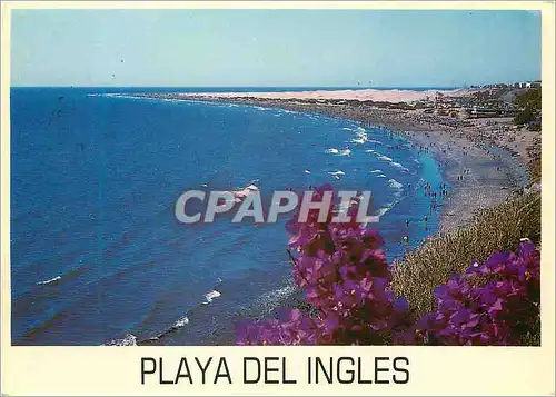 Cartes postales moderne Playa del Ingles