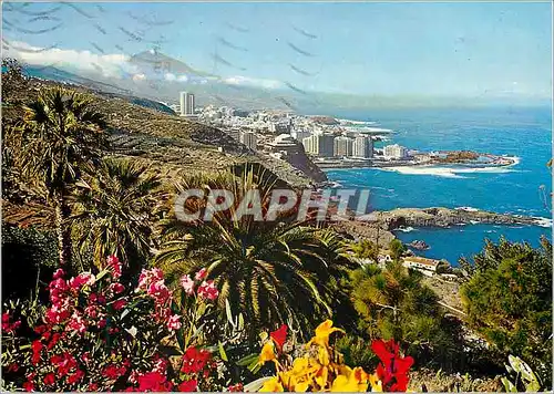 Cartes postales moderne Tenerife Cote du Nord et Puerto de la Cruz