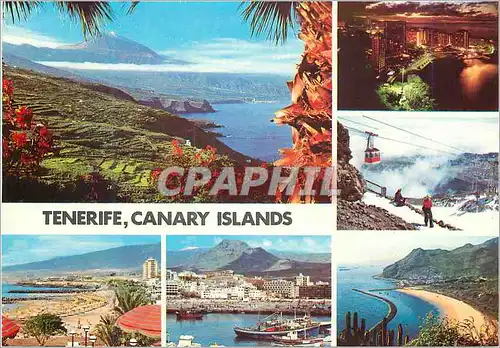 Cartes postales moderne Tenerife Canary Islands