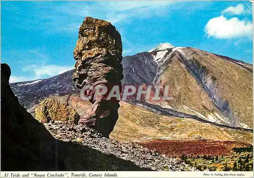 Cartes postales moderne Tenerife