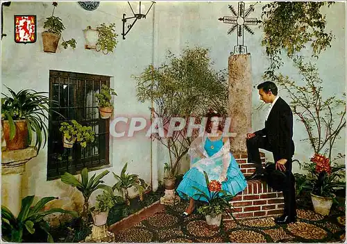 Cartes postales moderne Cordoba Cour cordovan dans la rue