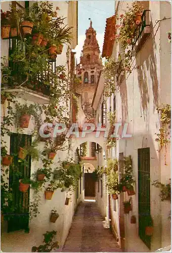 Moderne Karte Cordoba Rue des Fleurs