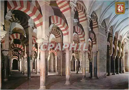 Moderne Karte Cordoba Mezquita Catedral Labyrinthe de Colonnes