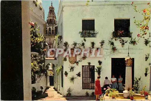 Moderne Karte Cordoba Place et Ruelle des Fleurs