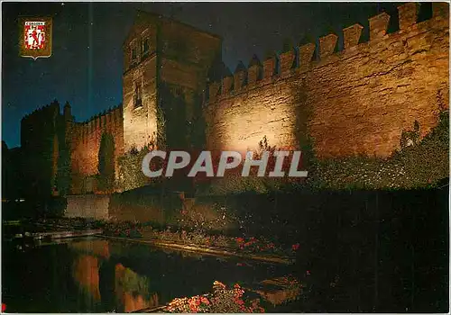 Cartes postales moderne Cordoba Muraille et Jardins illumine