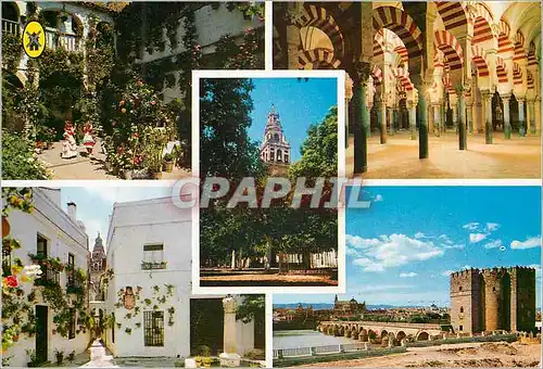 Cartes postales moderne Cordoba