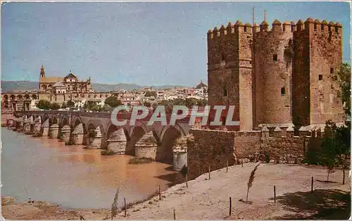 Cartes postales moderne Cordoba Pont Romain au fond la Mosquee
