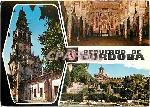 Cartes postales moderne Cordoba Terre de la Cathedral