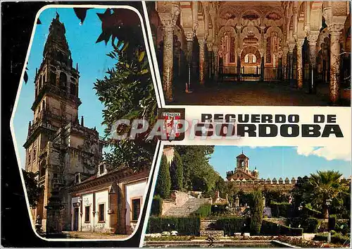 Cartes postales moderne Cordoba Terre de la Cathedral