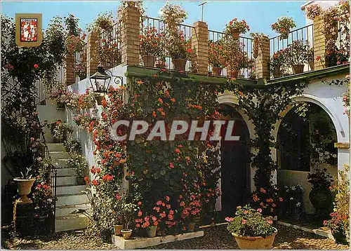 Cartes postales moderne Cordoba Cour Rue Montero