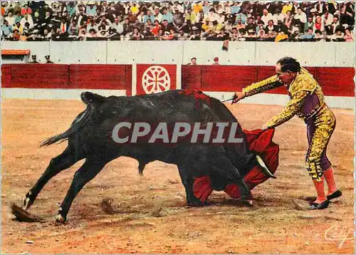 Cartes postales moderne Estocada de R Ortega Corrida Taureau