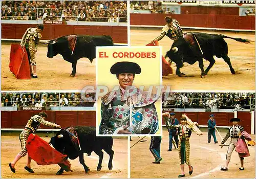 Cartes postales moderne El Cordobes Corrida Taureau