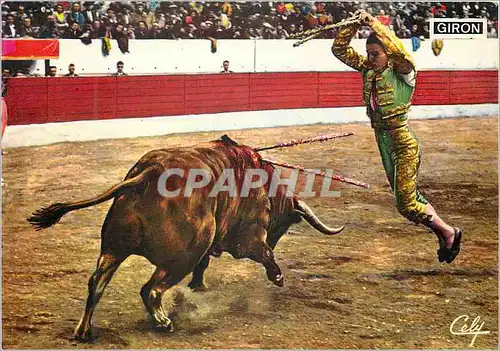 Moderne Karte Une belle paire de banderilles Corrida Taureau