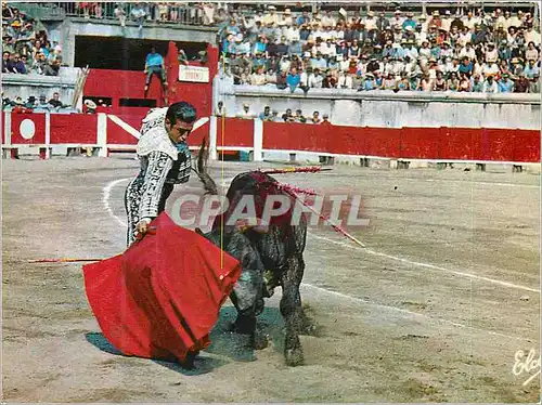 Cartes postales moderne La course de taureaux Passe de Muleta Corrida Taureau