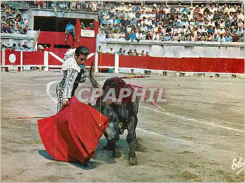 Moderne Karte La course de taureaux Passe de Muleta Corrida Taureau