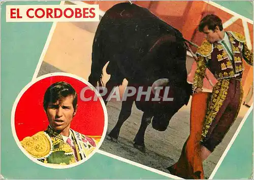 Cartes postales moderne El Cordobes Corrida Taureau