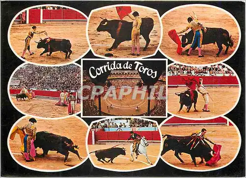 Moderne Karte De toros Corrida Taureau