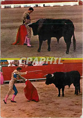 Moderne Karte Toros Corrida Taureau