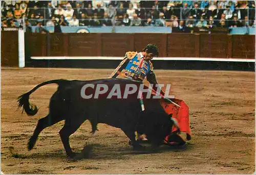 Moderne Karte Corrida de Toros Pase natural Taureau Corrida