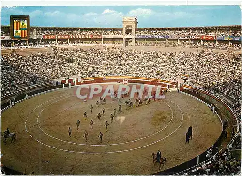 Cartes postales moderne Mailorca Palma Place des Taureaux Taureau Corrida
