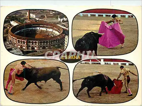 Moderne Karte Toros Typique course de Taureaux Taureau Corrida