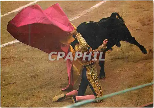 Cartes postales moderne Corrida de Toros Larga cambiada de rodillas Taureau Corrida