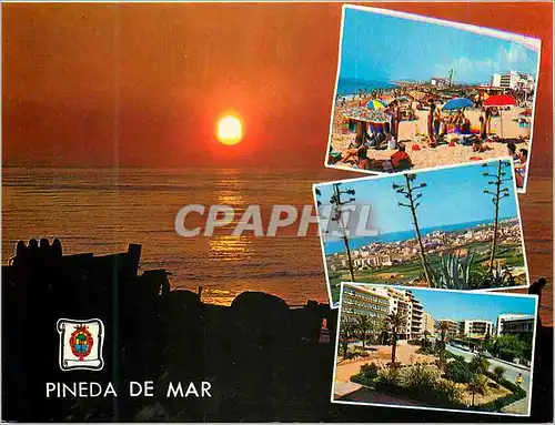 Cartes postales moderne Pineda de Mar