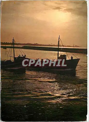 Cartes postales moderne Cambrils (Tarragona) Bateau de peche