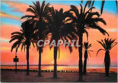 Cartes postales moderne Puesta de Sol Coucher du soleil