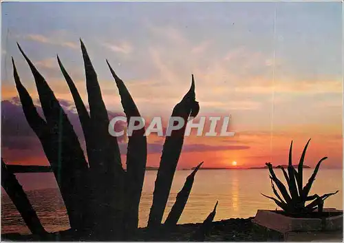 Cartes postales moderne Coucher du soleil