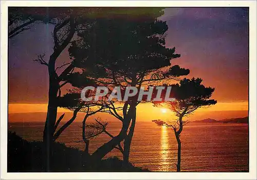 Cartes postales moderne Coucher de soleil