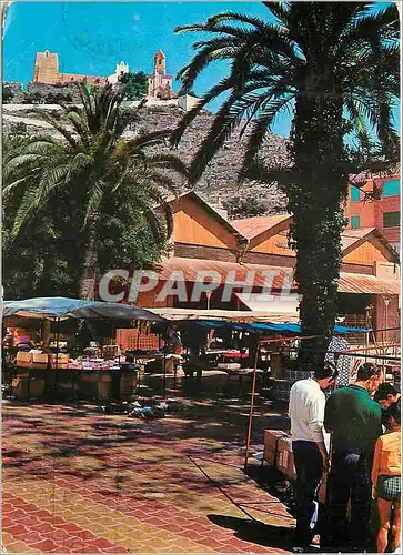 Cartes postales moderne Cullera (Valencia) Casta del Azahar