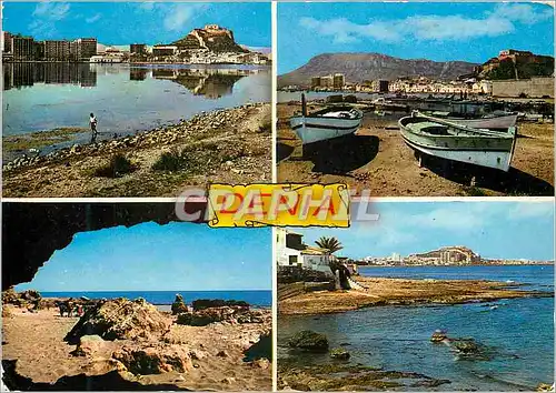 Cartes postales moderne Denia (Alicante) Vue de la Ville