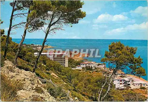 Cartes postales moderne Denia (Alicante) Vue partielle de Les Rotes